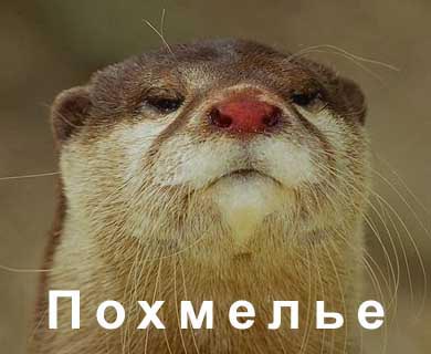 �������� ��������������������, ��������